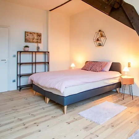 Castle With Wellness And Zipline, Cleaning Included * Gesves
